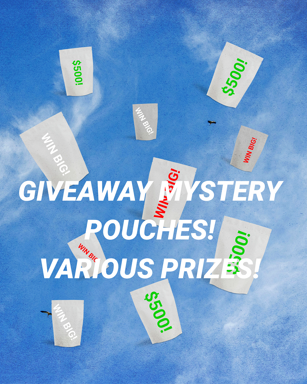 GIVEAWAY MYSTERY POUCH